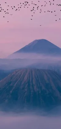 Admire the stunning beauty of nature with this phone live wallpaper! Watch as a flock of birds fly gracefully over a towering mountain of purple sand while an infographic of active volcanoes adds to the excitement