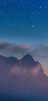 This phone live wallpaper features a flock of birds flying in the sky set against the breathtaking background of Yosemite Valley during blue hour