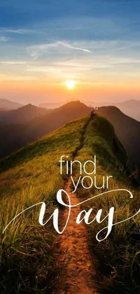 Discover a stunning live wallpaper featuring a picturesque grassy hill and whimsical trail with the message "Find Your Way