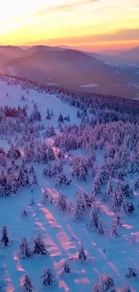 This live wallpaper showcases the exquisite beauty of nature with an image of a snowy mountain at sunset
