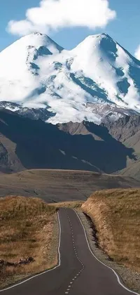 This live wallpaper features a stunning landscape of a winding road surrounded by colorful wildflowers, leading towards a majestic mountain that dominates the horizon