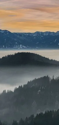 This phone live wallpaper features two cows grazing on a lush green hillside surrounded by winter mist, low clouds, and majestic mountains in the background