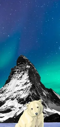 This majestic live wallpaper depicts a polar bear sitting on a snowy ground while a stunning, starry night sky creates a surrealistic atmosphere