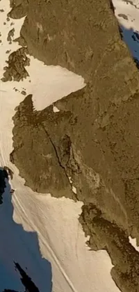 This phone live wallpaper depicts a snowboarder carving down a snowy mountainside in the Swiss Alps