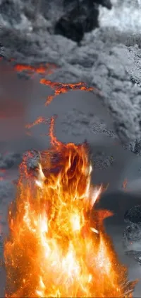 Nature Natural Environment Flame Live Wallpaper