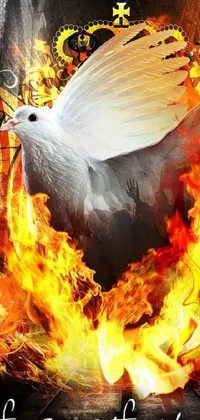 Looking for a stunning live wallpaper for your phone? Check out this one featuring a white dove flying through a ring of fire