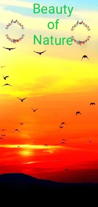 This phone live wallpaper features a group of birds flying over a vibrant sunset, creating a breathtaking natural scene for your iPhone 15 background