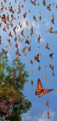 This live wallpaper captures the beauty of nature with fluttering butterflies set against a backdrop of changing seasons