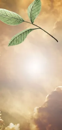This stunning live wallpaper for phone showcases a lush green leaf gracefully soaring through a cloudy sky, infused with the romance of gentle movements