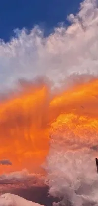 Nature Orange Cloud Live Wallpaper
