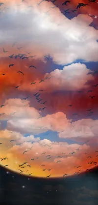 This phone live wallpaper displays a beautiful scene of soaring birds in the sky against a stunning red-cloud background