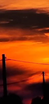 This stunning phone live wallpaper features a gorgeous Bird sitting on a Wire against a breathtaking Sunset backdrop
