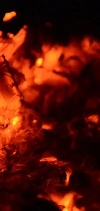 This close-up live wallpaper captures the intense and hypnotic flames of a burning fire