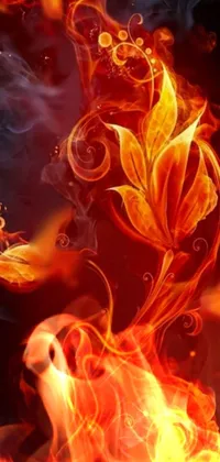 Nature Orange Flame Live Wallpaper