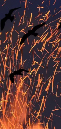 This phone live wallpaper features a close-up view of a vibrant and dynamic fire, with sparks shooting out from all directions