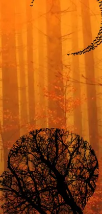 The autum-themed phone live wallpaper depicts a tranquil forest with a bird flying over a tree