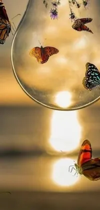 Looking for a phone live wallpaper that will blow your mind? This one comes with magical butterflies fluttering around a light bulb inside a glass sphere, creating an enchanting visual experience