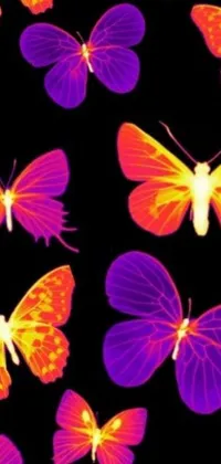 This live phone wallpaper showcases a beautiful cluster of purple and orange butterflies set against a sleek black background