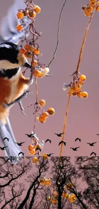 This phone live wallpaper features a stunning bird sitting on a branch surrounded by warm colors