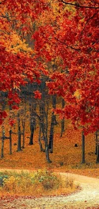 This live phone wallpaper features a forest of trees adorned with red leaves and scattered red and yellow flowers