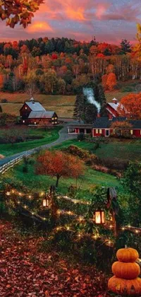 Decorate your phone screen with a stunning live wallpaper of a farm in fall adorned with pumpkins, lanterns and trees with colorful leaves
