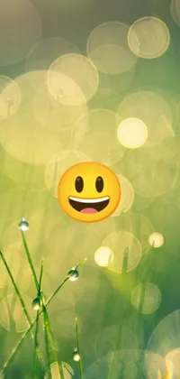 Looking for a captivating phone live wallpaper that truly stands out? Look no further than this mesmerizing design! Featuring a delightful smiley face resting on a lush green field, this wallpaper is perfect for adding a touch of minimalist charm to your phone