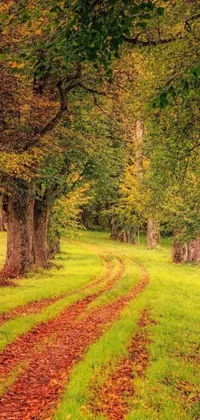 This phone live wallpaper depicts a charming dirt road surrounded by a lush green field and beautiful trees