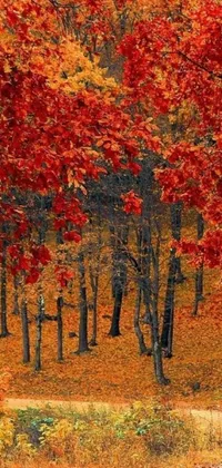 This dynamic live wallpaper depicts a digital forest with red and yellow leaves swaying and falling in the wind, representing the changing seasons