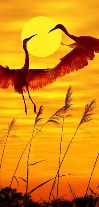 This stunning live wallpaper for your phone depicts two birds flying gracefully through the sky