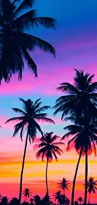 This mobile live wallpaper features beautiful silhouetted palm trees swaying in front of a multicolored sunset