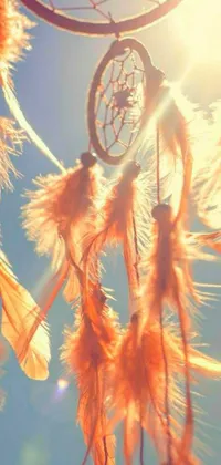 Enhance the look of your phone with an amazing live wallpaper featuring a stunning dream catcher against a clear blue sky