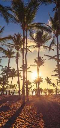 This live wallpaper depicts a tropical beach sunset with silhouetted palm trees against the skyline