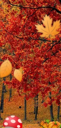 This phone live wallpaper showcases a group of pumpkins in a forest surrounded by autumn maple trees