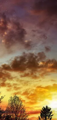 This phone live wallpaper showcases a breathtaking sunset with a foreground of trees