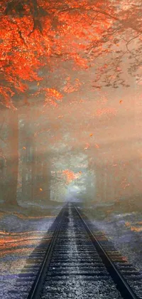 Enjoy the peaceful scenery of a train track in the midst of a breathtaking forest with this mobile wallpaper