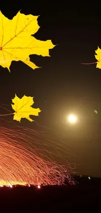 This phone live wallpaper features yellow leaves and fireworks set against a digital picture of stars and the moon