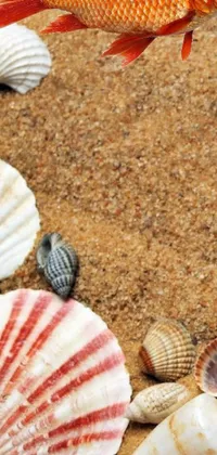 Bring the beach to your phone with this stunning live wallpaper! Featuring a fish standing proudly on the sand with seashells dotting the background, this wallpaper truly captures the essence of the ocean