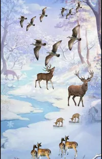 Nature Organism Elk Live Wallpaper