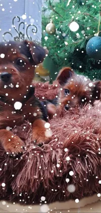 This phone live wallpaper features two playful puppies sitting on a cozy dog bed in front of a glowing Christmas tree