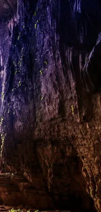 Nature Outdoor Cave Live Wallpaper