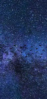 Decorate your phone with this stunning live wallpaper of birds flying across a night sky! Inspired by an album cover, this cosmic art is sourced from Pexels and features a flock of birds soaring among tiny stars
