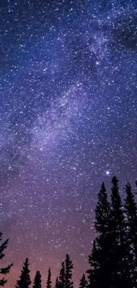 Turn your phone into a celestial oasis with this night sky live wallpaper