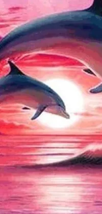 This phone live wallpaper showcases a breathtaking image of two dolphins jumping out of the water at sunset