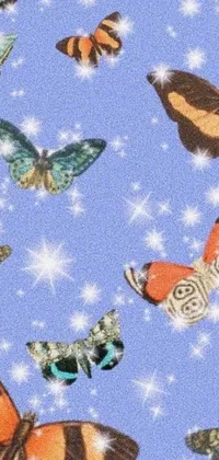 This is a mesmerizing phone live wallpaper showcasing a bunch of colorful butterflies floating over a delightful blue background