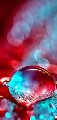 Looking for a stunning phone wallpaper that's sure to turn heads? Look no further than this mesmerizing digital art piece! Featuring a macro photograph of a vibrant red flower with a delicate water droplet sitting atop it, this live wallpaper is sure to add a touch of elegance to your phone's home screen