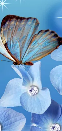 This live wallpaper showcases a magnificent butterfly perched atop a lustrous blue flower