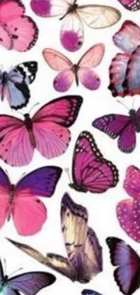 This phone live wallpaper features a collection of pretty butterflies in shades of purple and pink fluttering on a white background