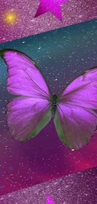 Get mesmerized by this breathtaking phone live wallpaper! Featuring a gorgeous purple butterfly perched gracefully on a vibrant pink and blue background, this digital art is a sight to behold
