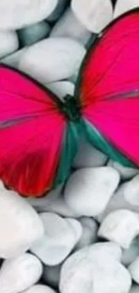 This phone live wallpaper showcases a lovely pink butterfly gracefully perched on a stack of white rocks