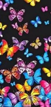 Looking for an amazing wallpaper to add some magic to your phone? Check out this live wallpaper featuring a beautiful assortment of colorful butterflies set against a dark background